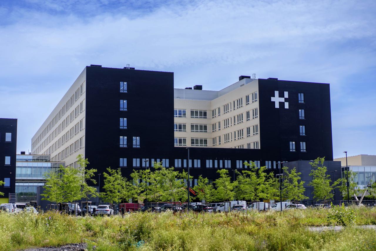 Grand Hôpital de Charleroi, Les Viviers site